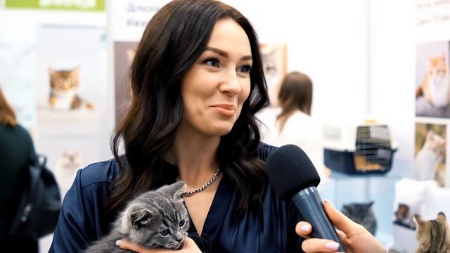 RICH BREED в центре внимания. Интервью 4