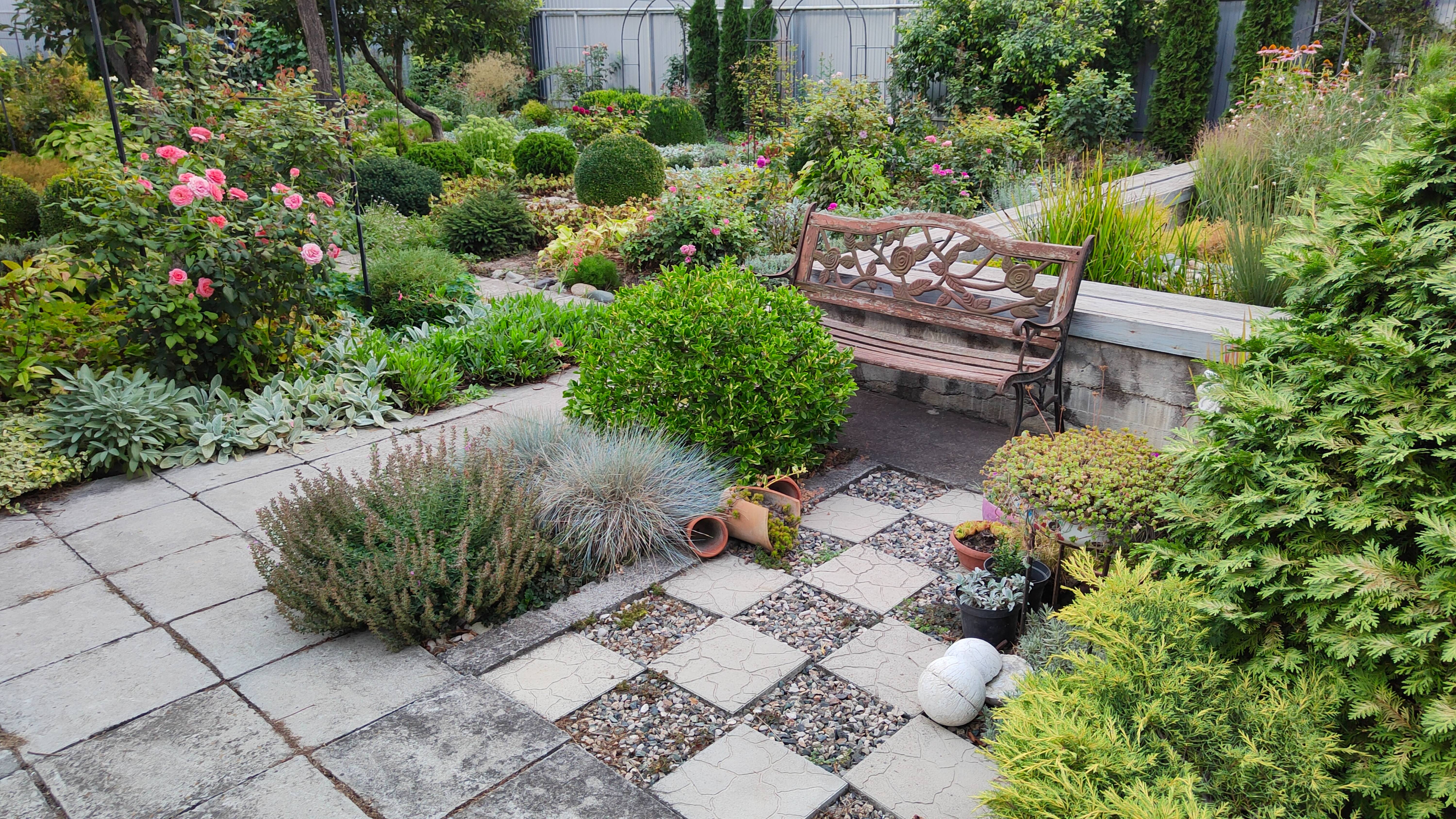 Планов громадьё! Про обновление и переделку круговой площадки в саду. 8-13 августа 2025 г.