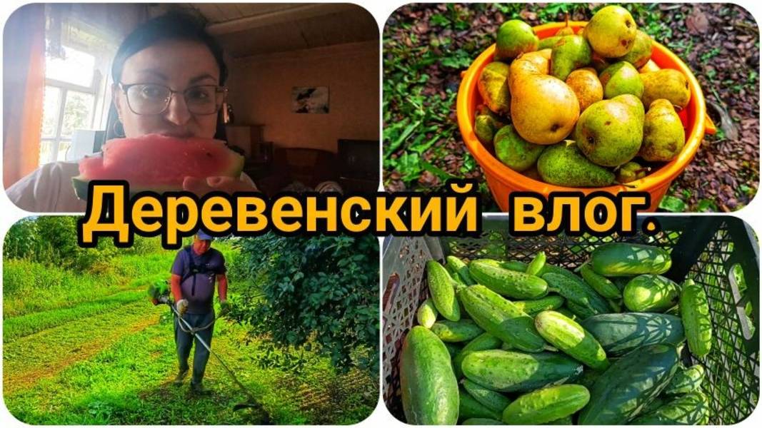 ПРИШЛИ НЕЗВАННЫЕ ГОСТИ 😀🐓🐔🐔🐔 ПРОБУЕМ ПЕРВЫЙ 🍉 В ЭТОМ ГОДУ.