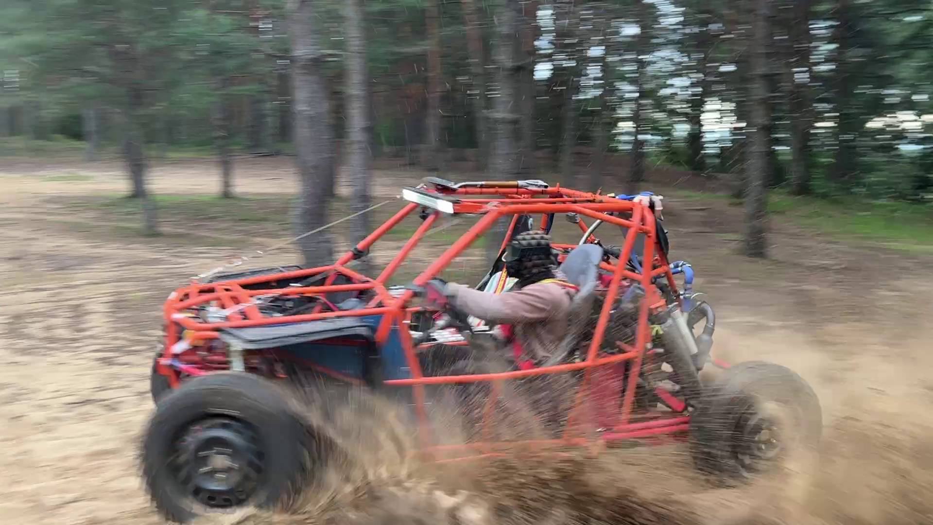 Пятаки на песке