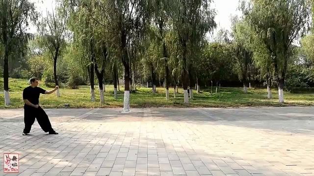 Десятиминутный учебник Синъи Цюань - Бэн Цюань (Сокрушающий кулак) Байрон Джейкобс