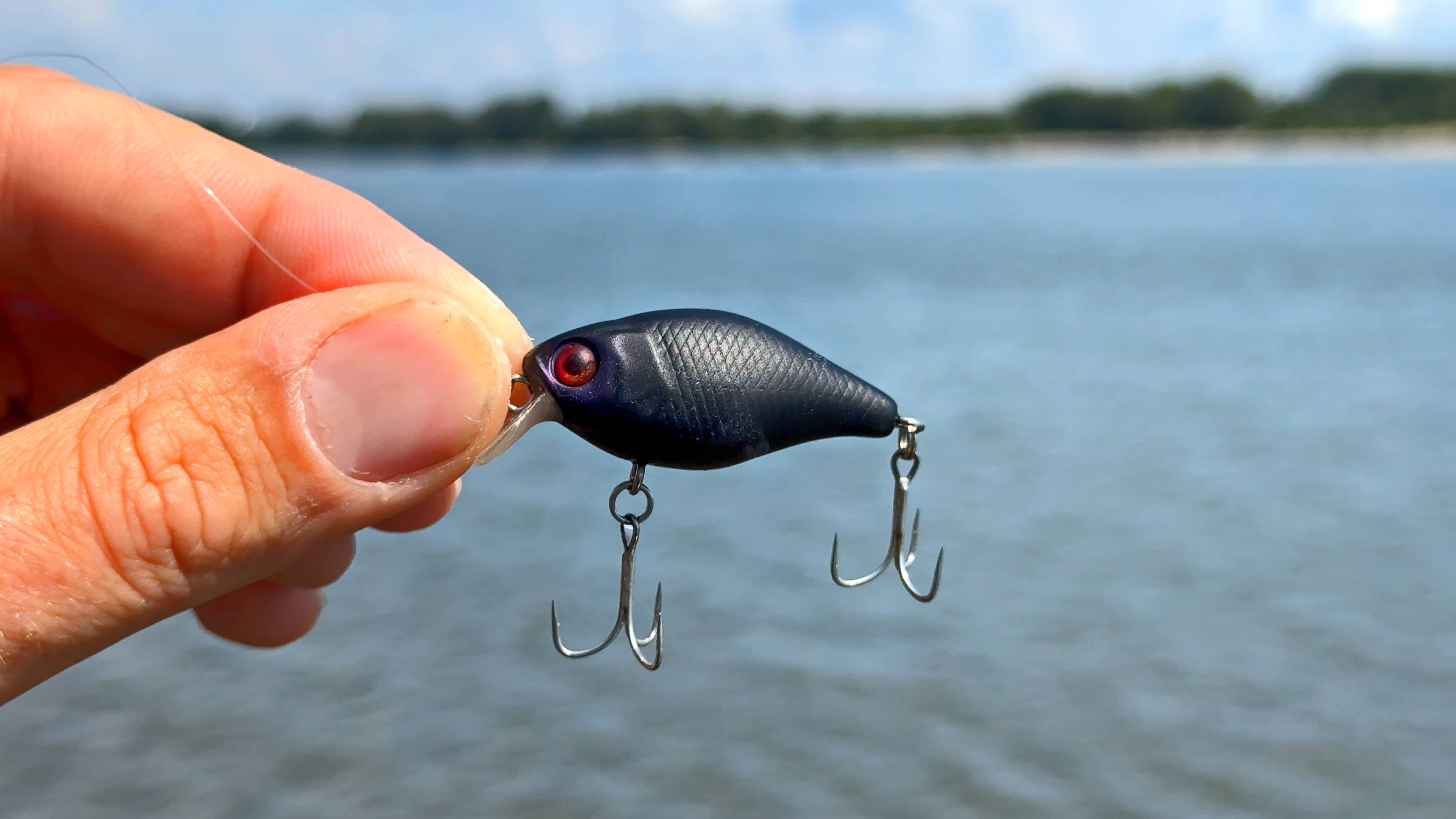 Спиннинг в Августе. СИЛЬНАЯ РЫБА НА ТОНКУЮ СНАСТЬ. Первая рыбалка дома!