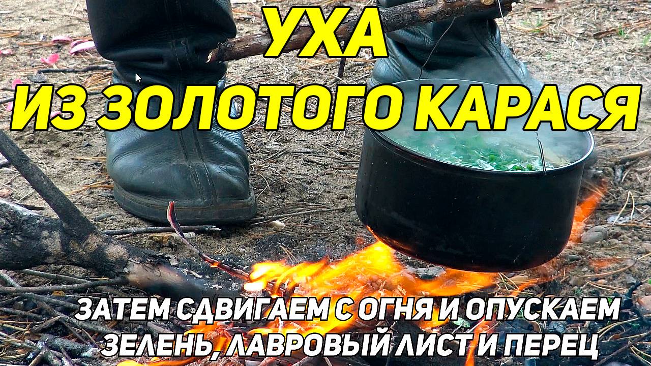 Золотой Карась: А Стоит ли Оно того? Варим Очень Быструю Уху на Озере! 🎣 🐟 🥣 🚤