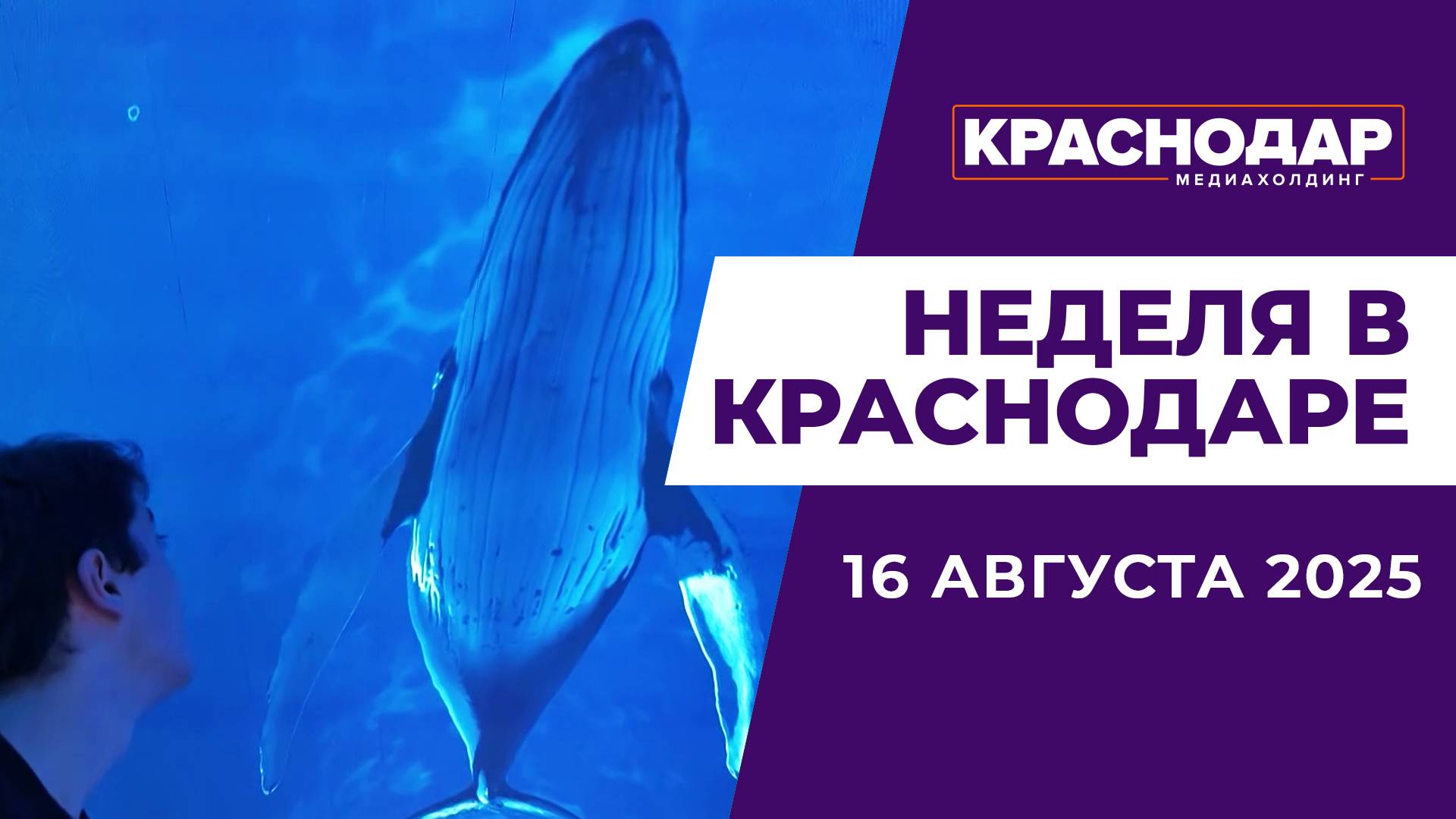 Неделя в Краснодаре 16.08.25: Новые поликлиники, Триллионы на промышленности, Кроличья нора