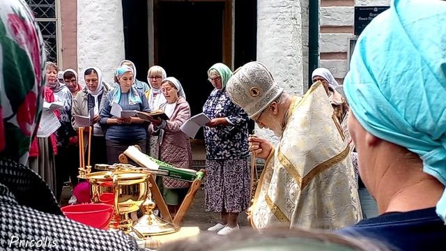 Никологоры. Яблочный спас 2025 год.