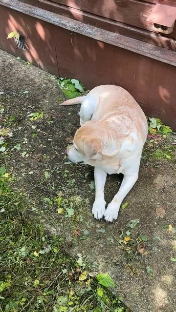 Ульзана anzl.ru на работе