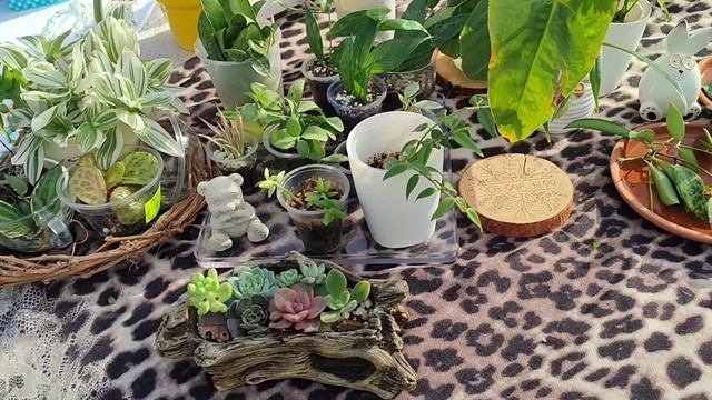 Не в минус и то - хорошо! Ярмарка в парке 16/17 августа.