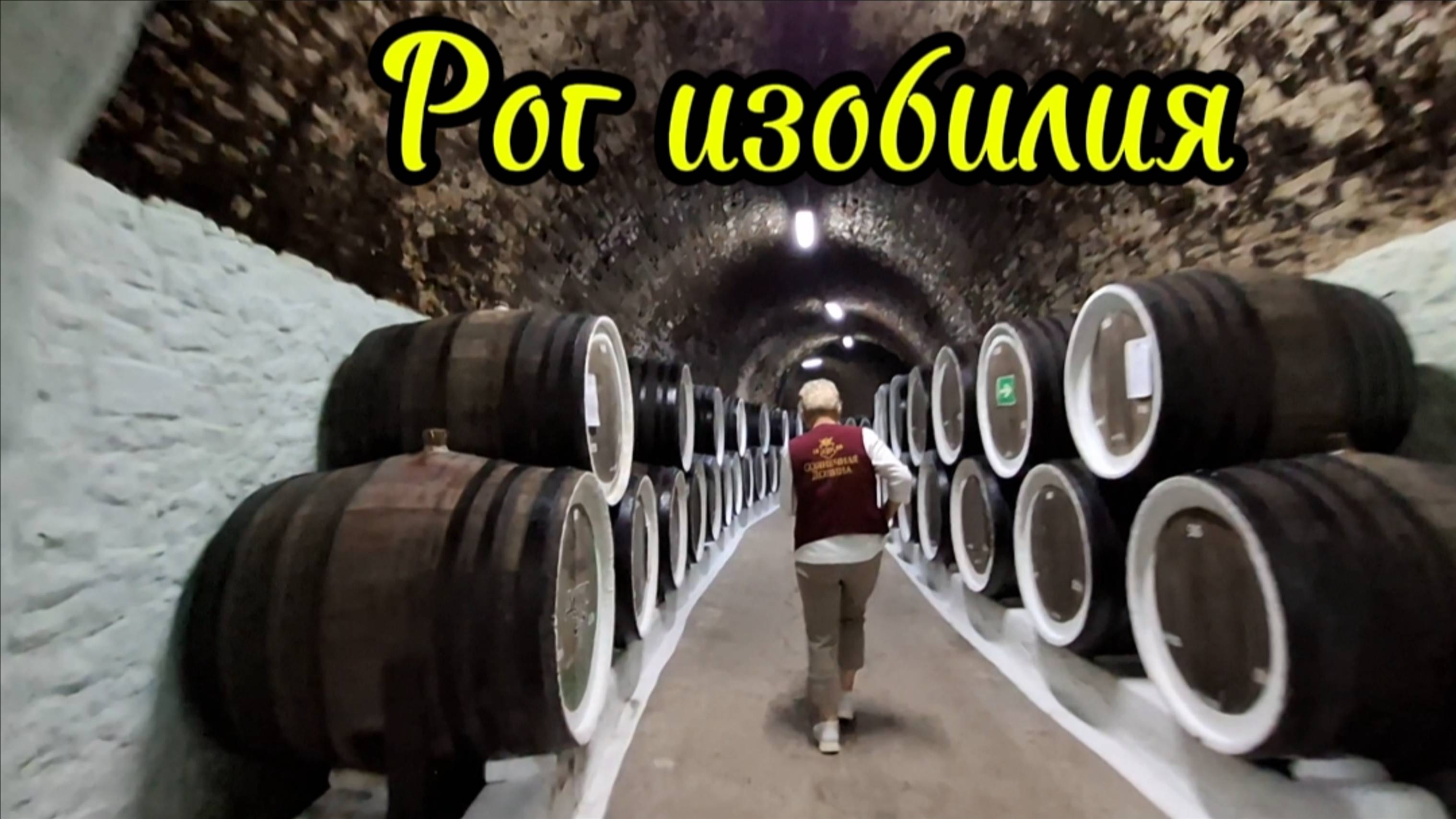 Рог изобилия. Экскурсия по подвалу винзавода «Солнечная долина» Голицина: История, Вино и Искусство