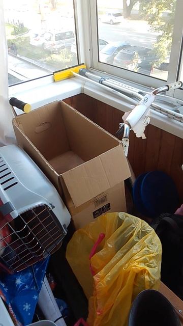 Рыжик на балконе