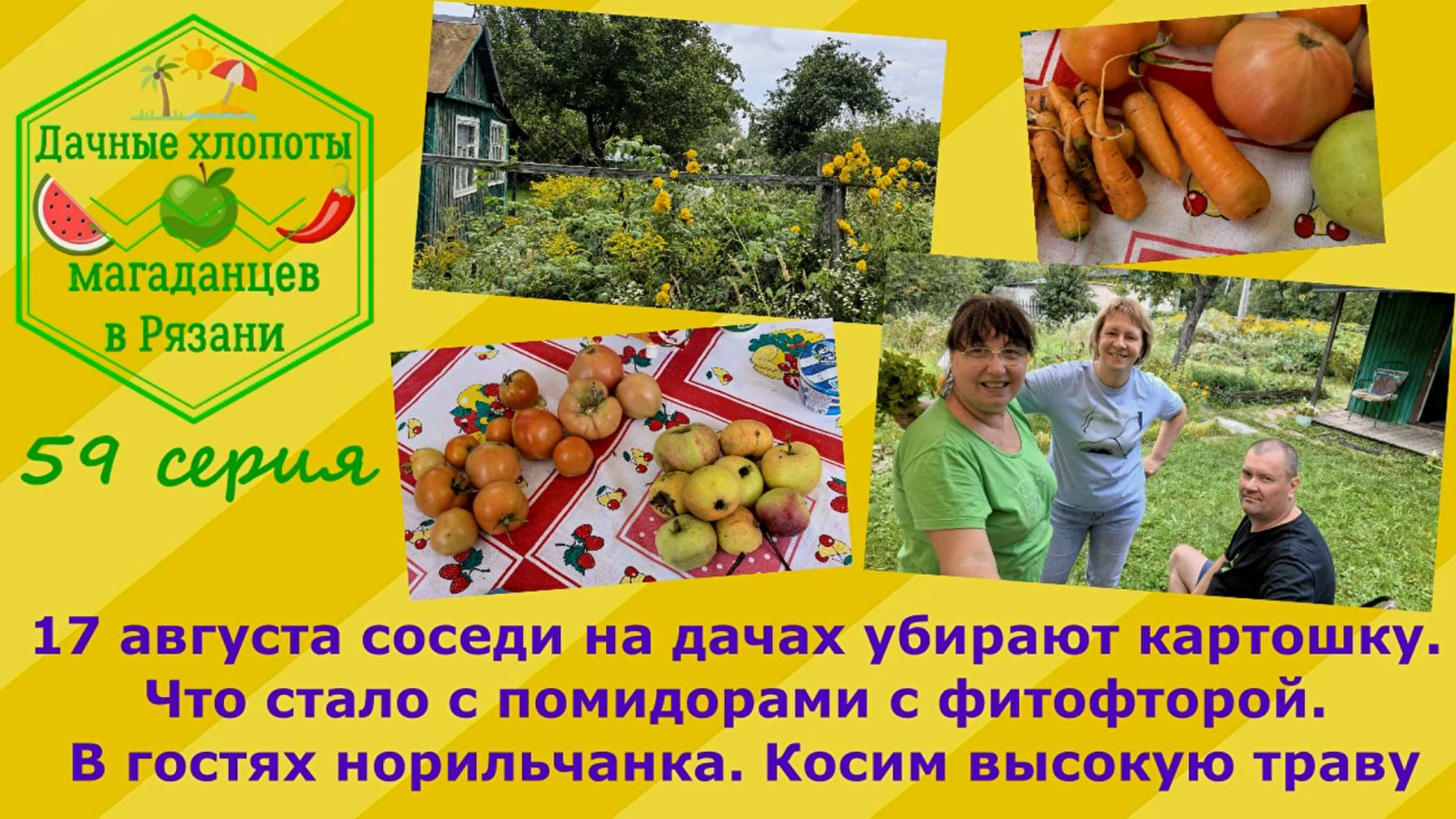 Соседи убирают картошку. Что стало с помидорами с фитофторой. Норильчанка в гостях. Косим траву