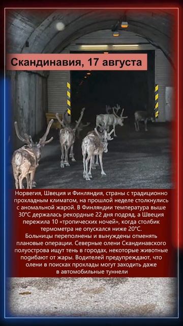 18.08.2025 Что произошло в мире(смотри описание к видео)