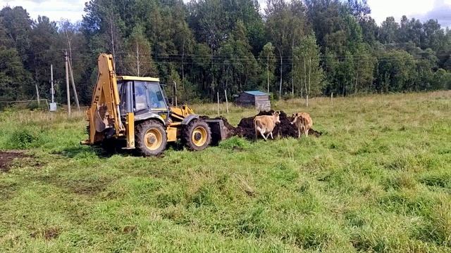 ТОТАЛЬНАЯ УБОРКА