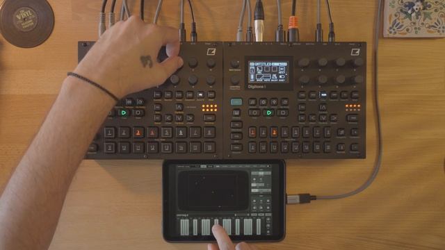 Elektron Digitone II ｜ Digitakt II ｜ Animoog Z - Ambiottica