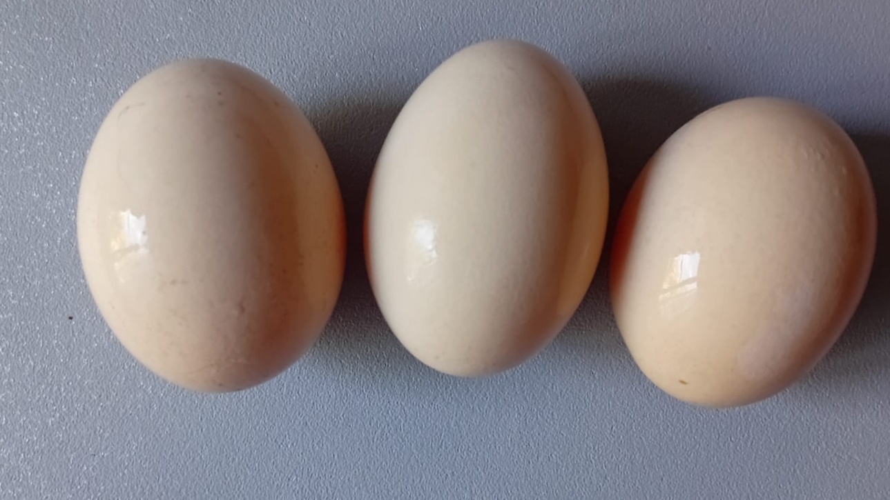 Сразу три способа как покрасить яйца на Пасху