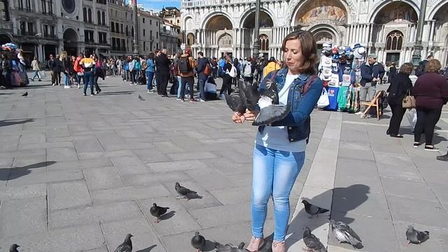 Кормлю голубей на Сан-Марко!
