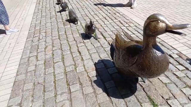 Подарок жены Дж.Буша.....