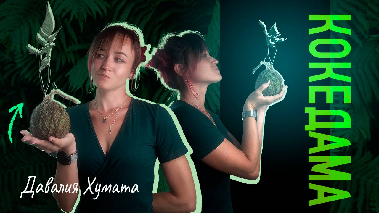 Как из папоротника сделать ШЕДЕВР или История создания КОКЕДАМЫ. Грунт, мох, оформление, уход