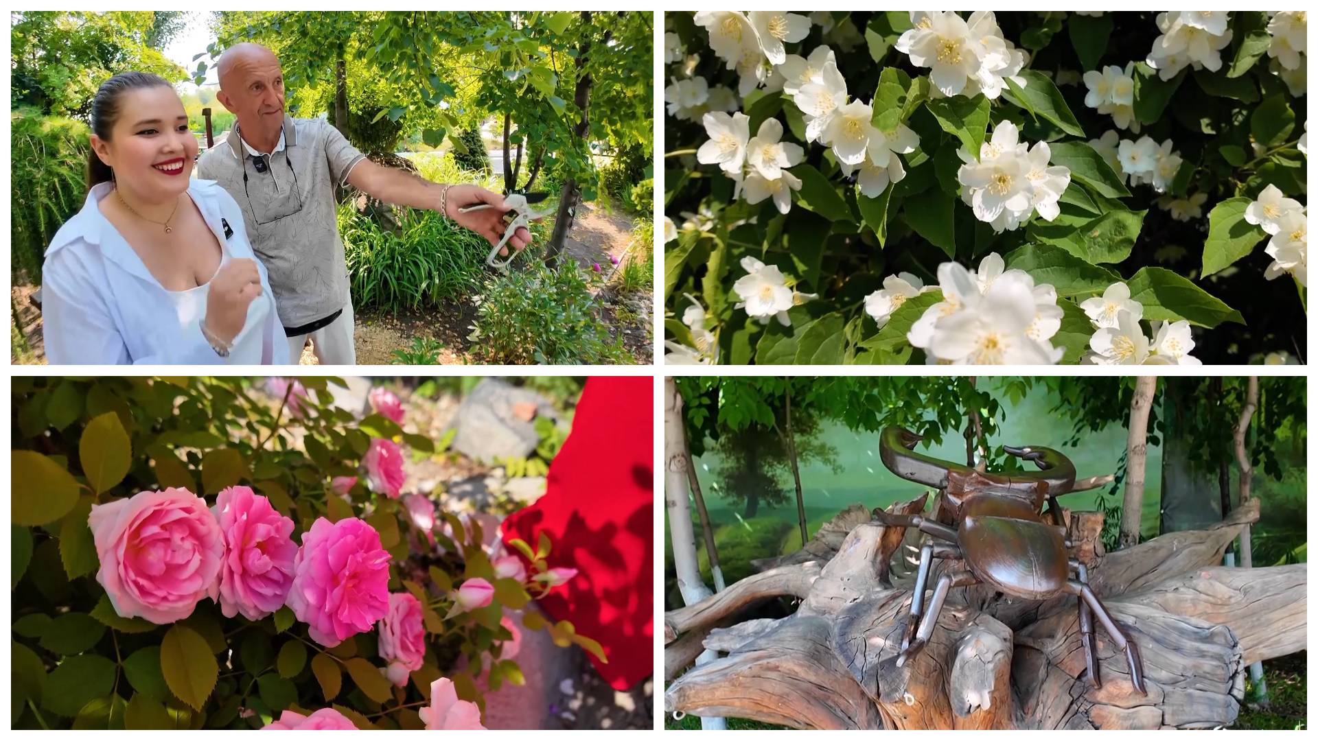 Уютное местечко | Многообразие растений