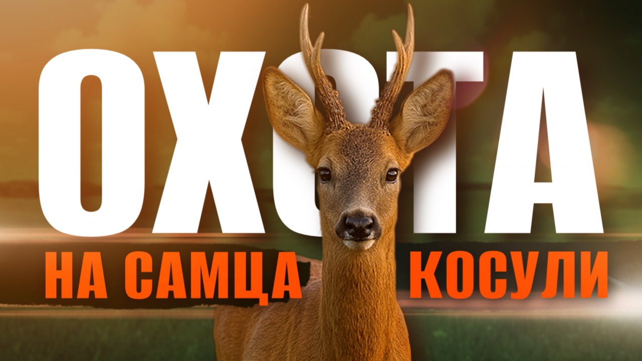 НЕВЕРОЯТНАЯ ОХОТА НА КОСУЛЮ и НА ЧТО СПОСОБНЫ ТЕПЛОВИЗОРЫ PIXFRA