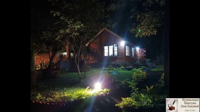 Она танцует |Автор-Павлова О.|Стихи, Суно, Видео|ИЗ КРИЗИСА ВСЕ ВЫХОДЯТ ПО РАЗНОМУ-КТО ТО ТАНЦУЕТ