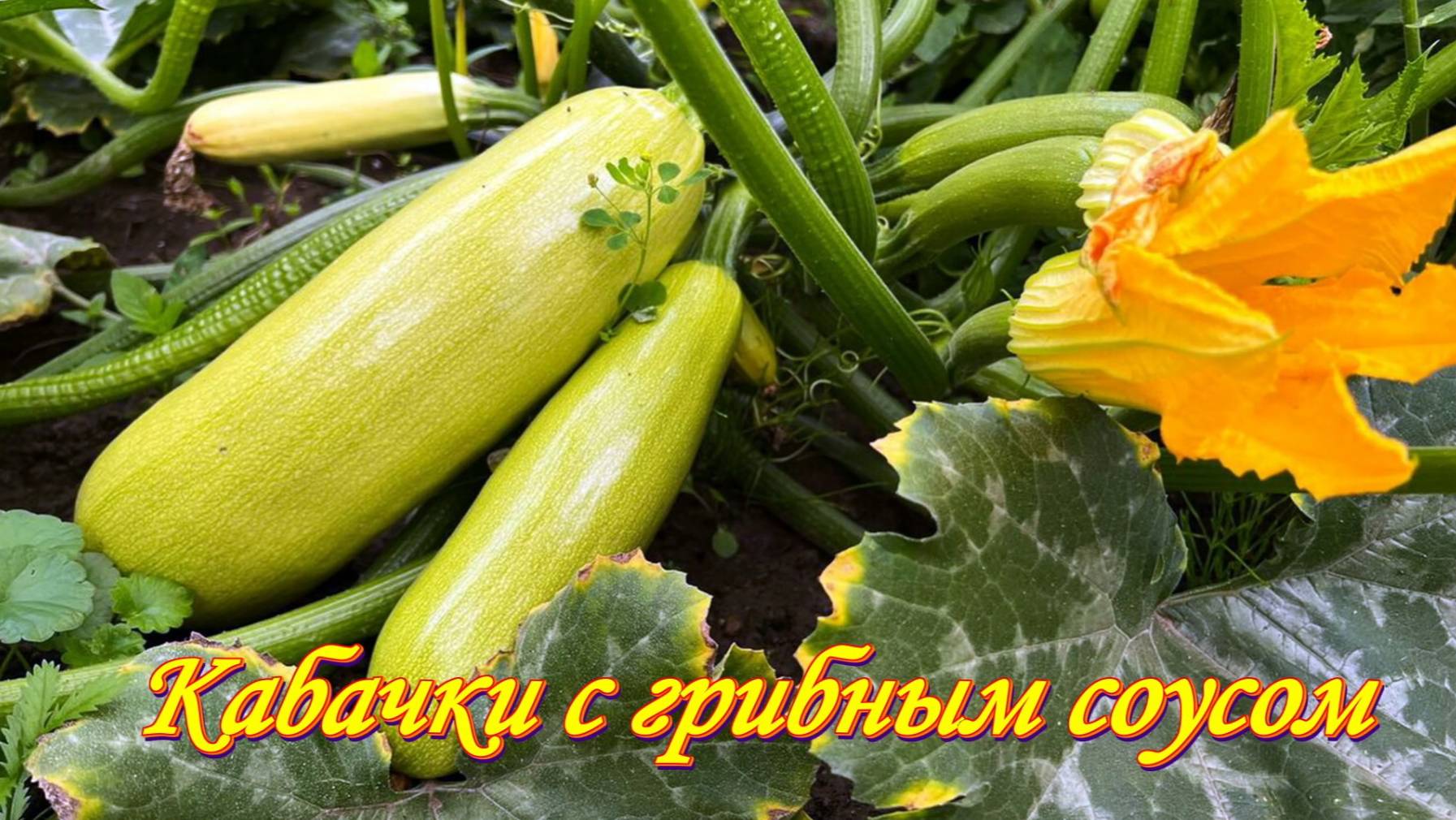 Кабачки с грибами