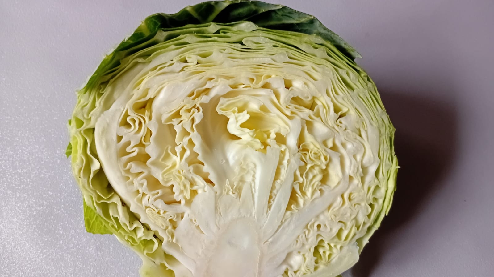 ЩИ из СВЕЖЕЙ КАПУСТЫ ПОШАГОВЫЙ РЕЦЕПТ