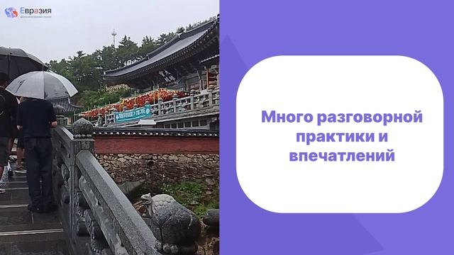 Как проходил языковой лагерь в Корее | Пусан - 2025