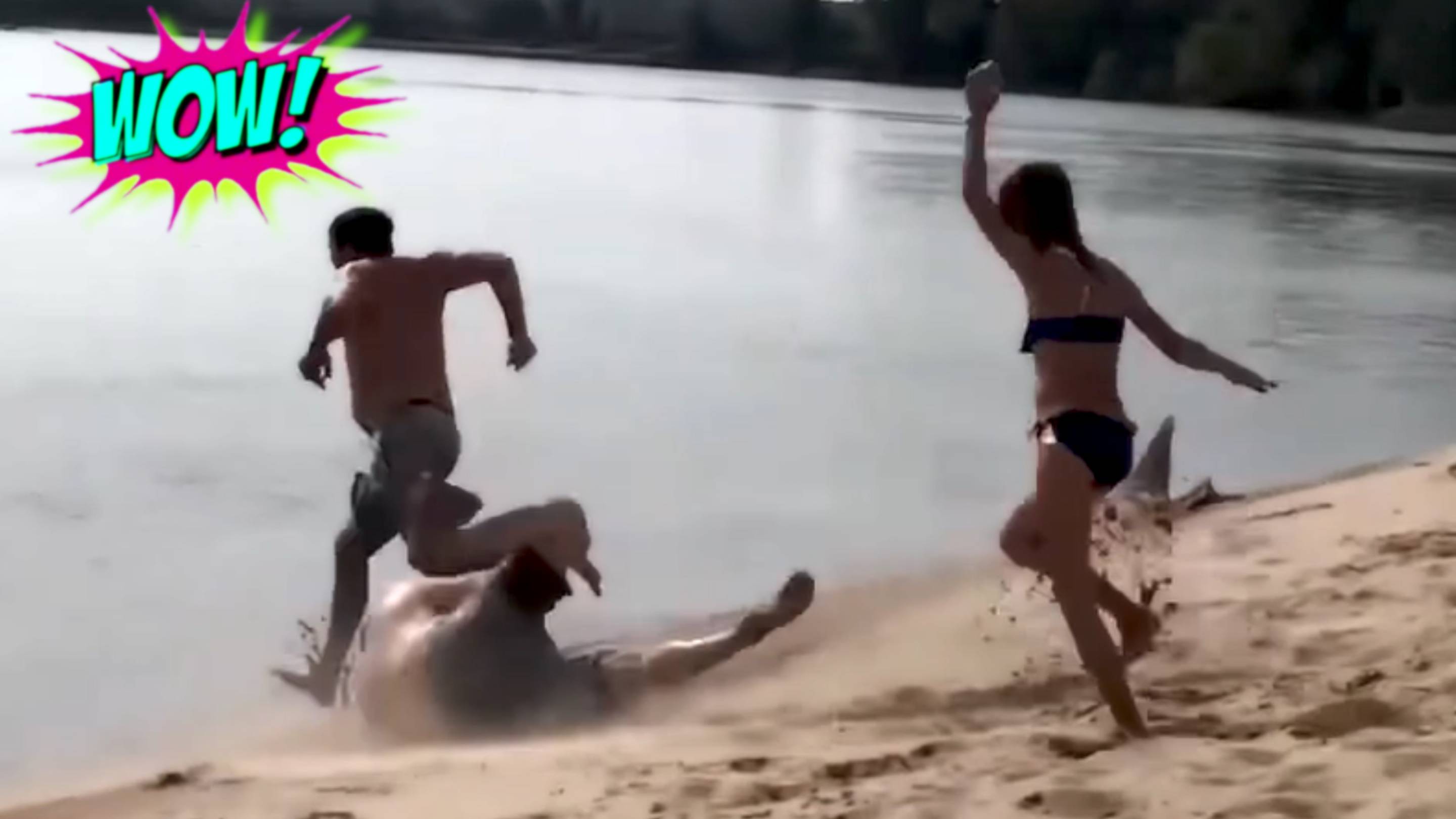 "СМЕШНЫЕ ВИДЕО: ПРИКОЛЫ, КОТОРЫЕ НЕЛЬЗЯ ПРОПУСТИТЬ"