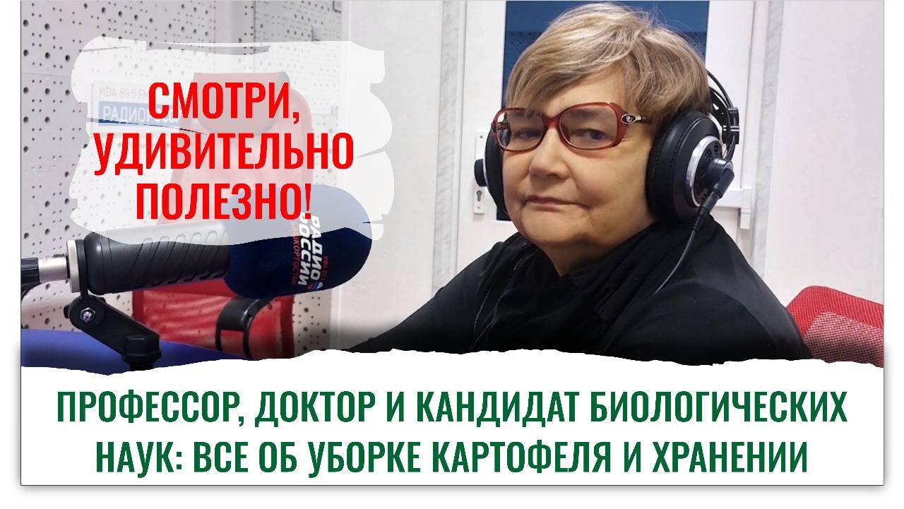 Открытие! Картофель, который не боится жуков, и биопрепарат, который бьет даже взрослых жуков