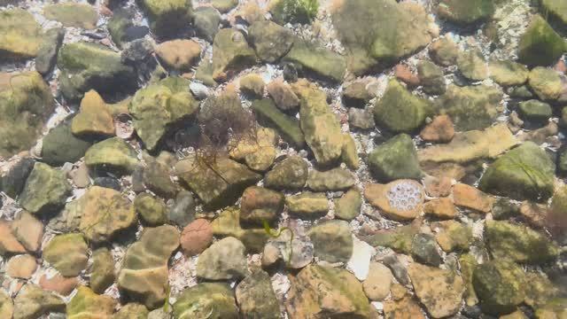 МОРСКОЕ ДНО|4K SDR