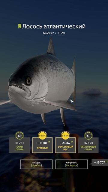 Rf4 хороший клёв на архипе получился #рр4