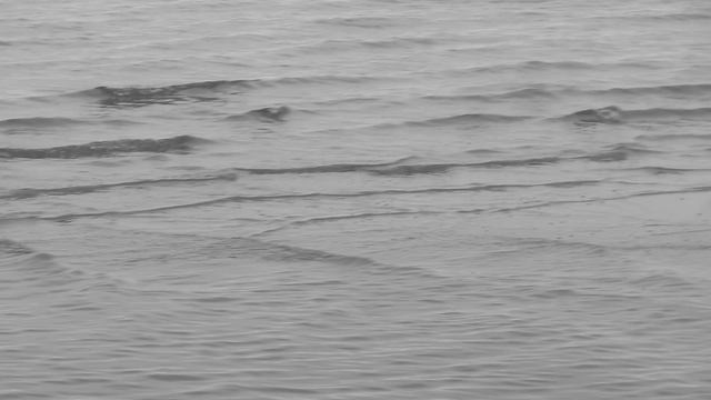 Квадратные волны