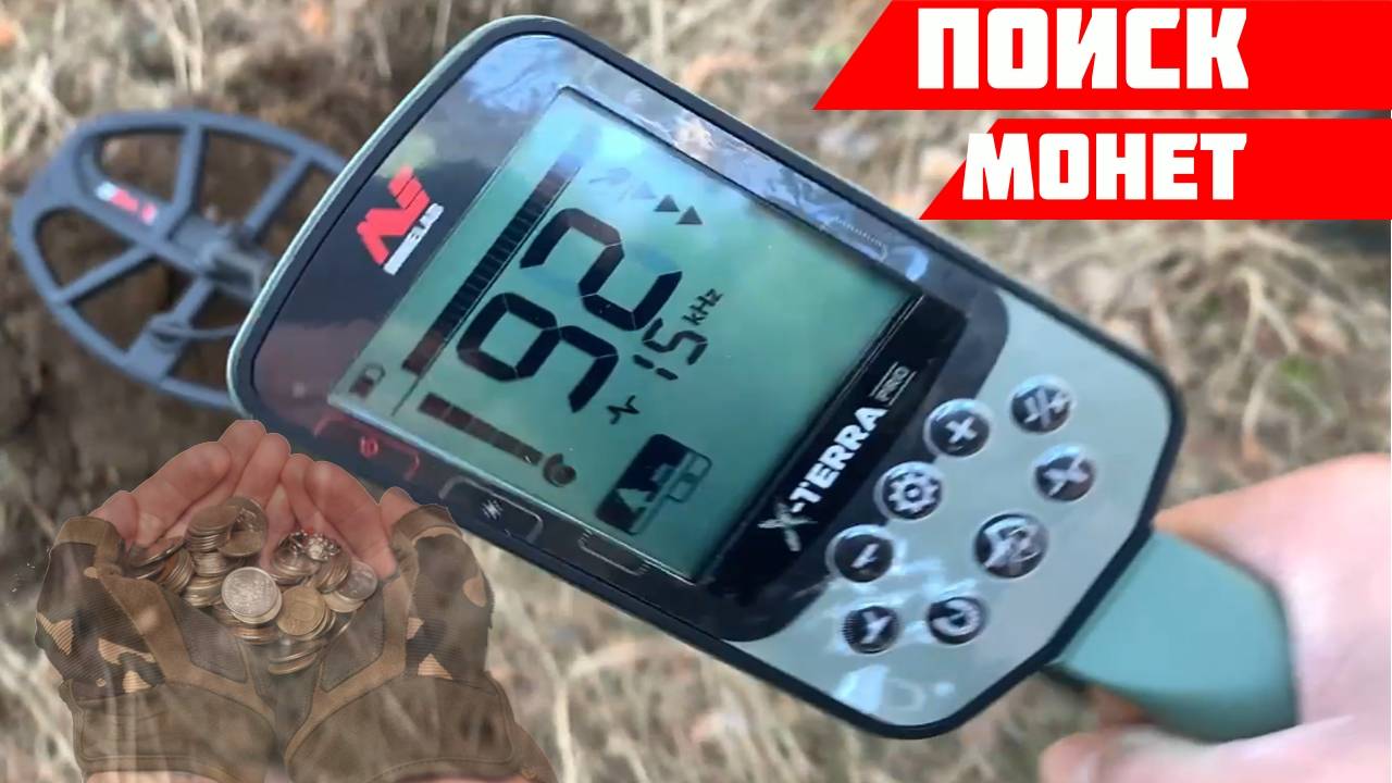 Поиск монет в поле и лесу — лучшие находки с металлоискателем
