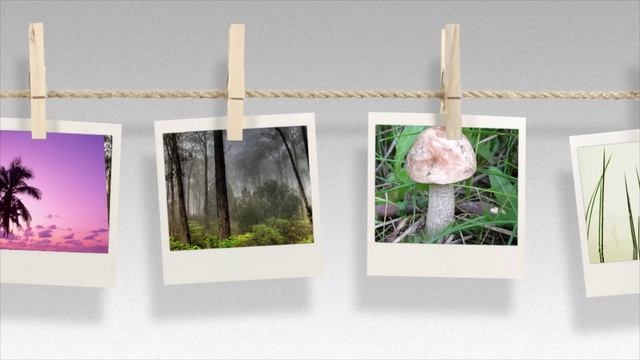 Strannik - Terra Incognita