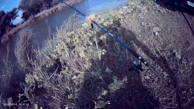 Река Усень🎣 Ловля на донные снасти🎣 Наживка опарыш. Прикормка Стерля (Кориандр).