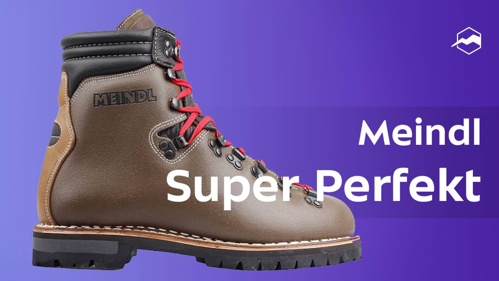 Ботинки Meindl Super Perfekt