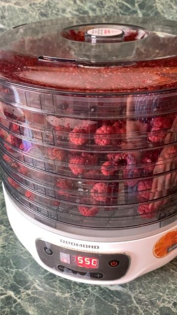 Как сушить малину в сушилке