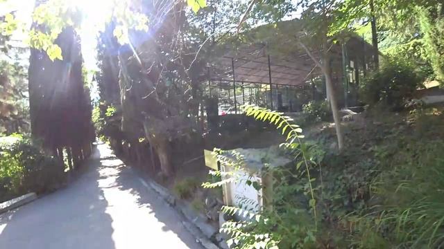 Прогулка по территории санатория "Утес" Усадьба княгини Гагариной. Алушта Крым