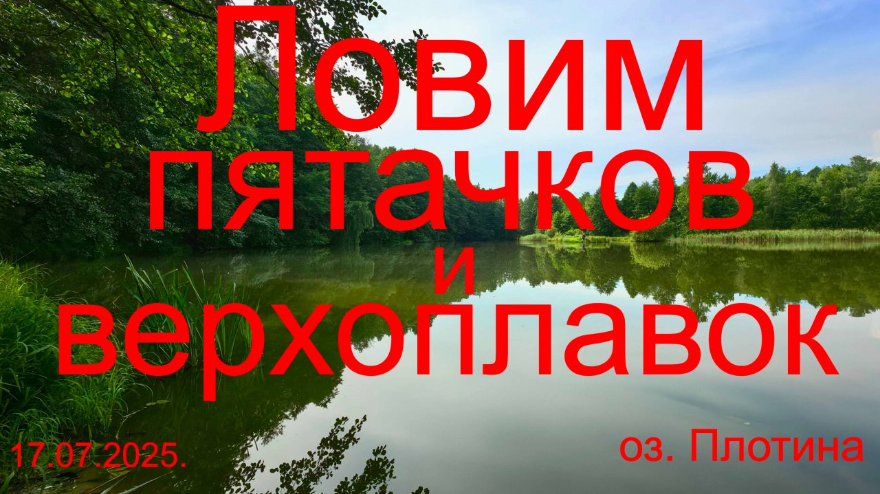 Ловим пятачков и верхоплавок.17.07.2025. оз.  Плотина. Рыбалка в Подмосковье.