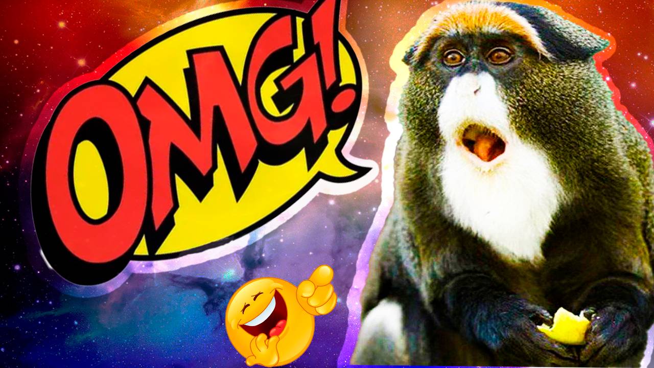 ЛУЧШИЕ ПРИКОЛЫ АВГУСТ 2025 | ПОПРОБУЙ НЕ ЗАСМЕЯТЬСЯ | ТЕСТ НА ПСИХИКУ | РЖАКА ДО СЛЕЗ