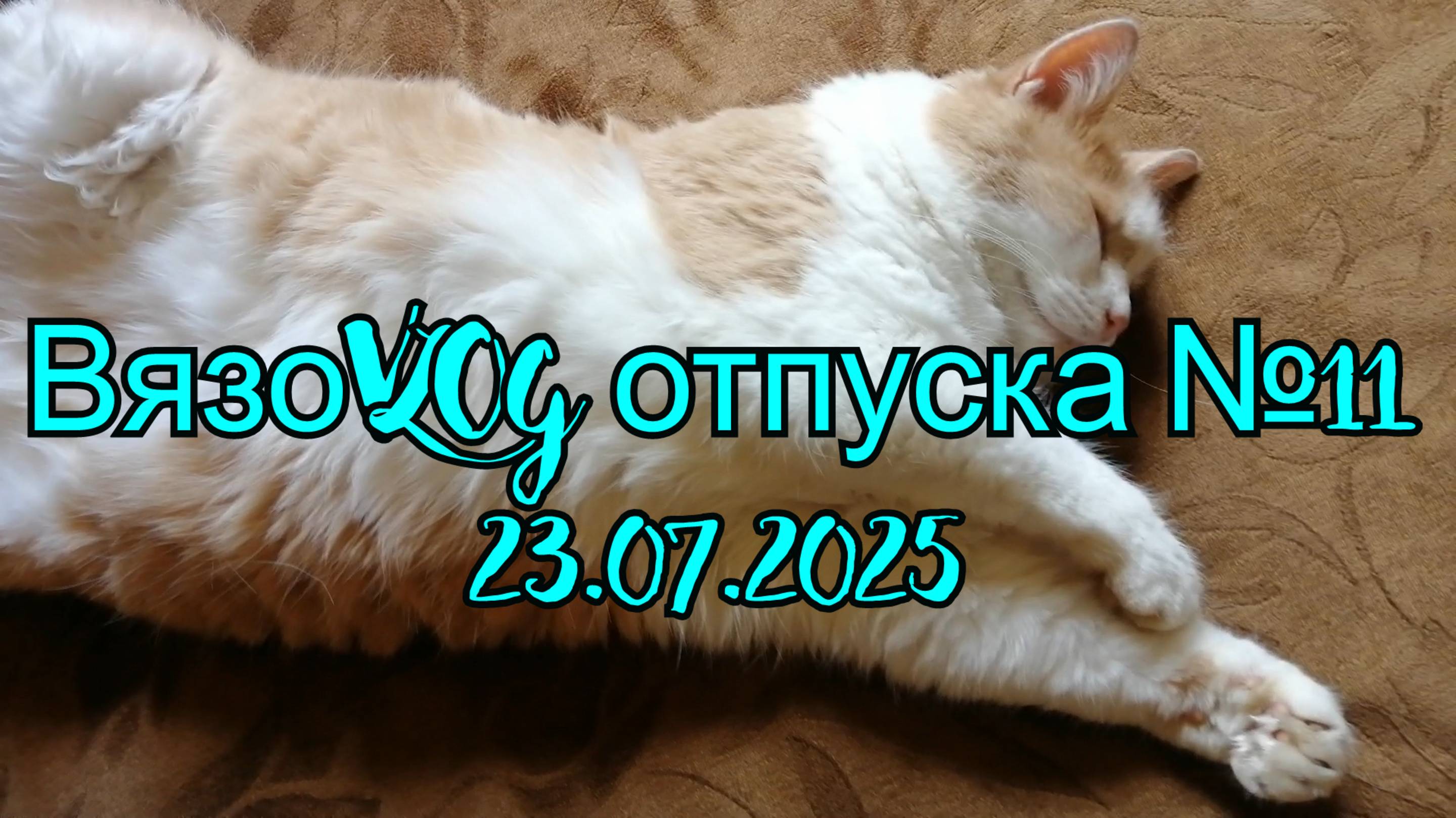 Вязовлог отпуска №11  23.07.2025