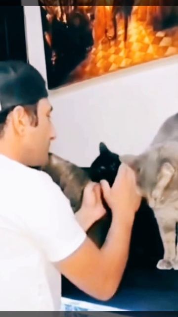 Поцеловал котиков 🐈🤣