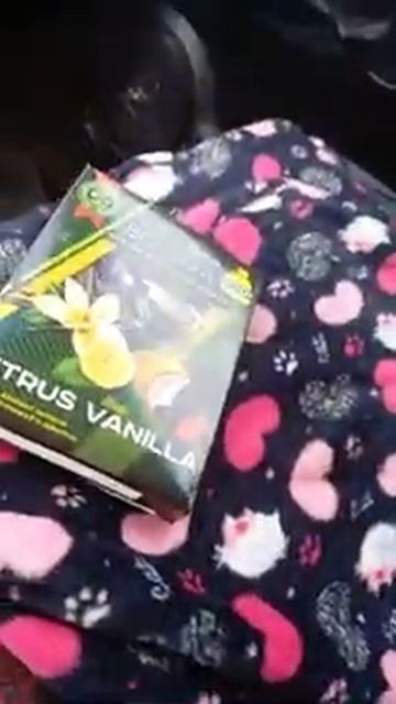 ВАЗ 2112 Освежитель воздуха