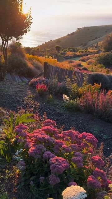 Летний рассвет