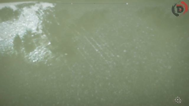 У медведя на обед