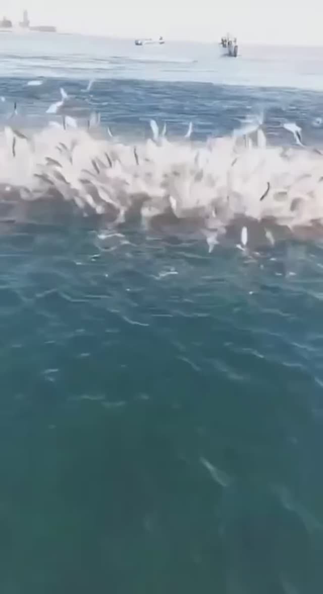 Это - рыбалка