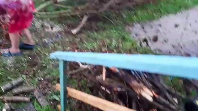 Отдыхаем на даче, пилим дрова, купаемся в бассейне, топим баню, жарим шашлыки