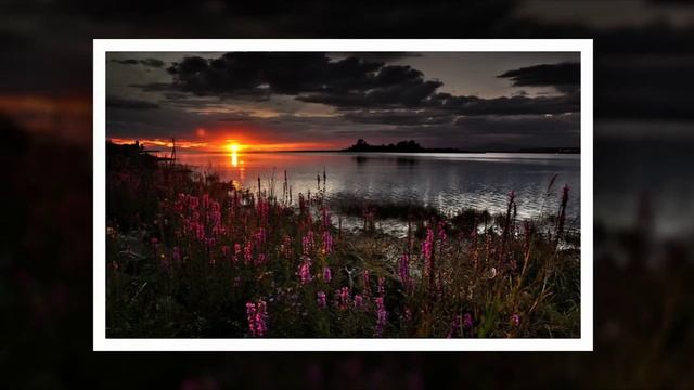 Skin-Divers - Prepare to Leave