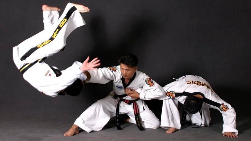 Бон Су Хан ХАПКИДО 05 Синий пояс