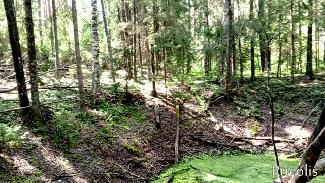 Нашли провал недалеко от Белого озера